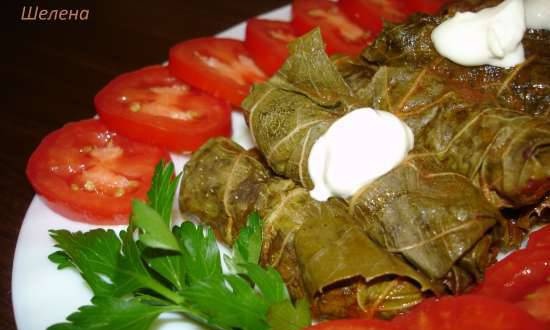 Dolma from pickled grape leaves in a pressure cooker (Polaris 0305)