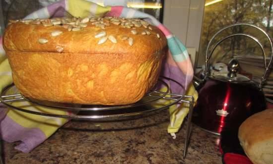 Pumpkin bread on broth with seeds in the oven