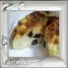פודינג גבינת קוטג 'עם דובדבנים וקרמל (מולטי קוקר פיליפס HD3095)