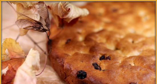 Curd cake with raisins (Pizza maker Princess 115000)