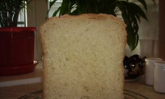 Millet corn bread
