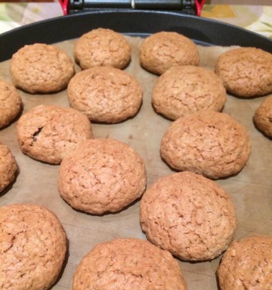 Oatmeal cookies na may mga pasas na Pizza Maker Princess 115000