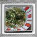 מרק אפונה ירקות עם עדשים מונבטות (פיליפס multicooker HD3197)