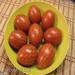 Kockás tojás, hagymahéjjal színezve (a ShuMasha fórum főorvosának szentelve)