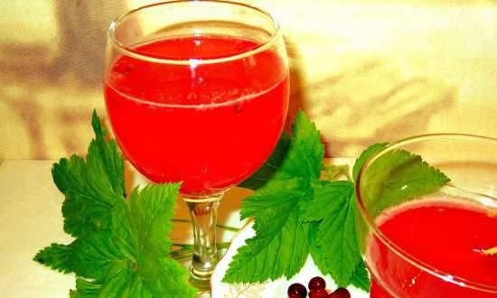 Homemade spicy red currant kvass