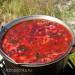 Spring borscht en el fuego
