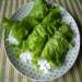 Refreshing salad in lettuce leaves