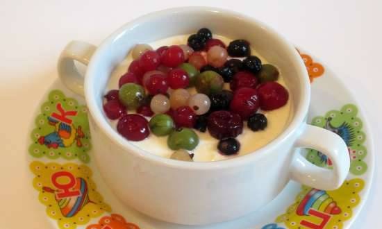 Yoghurt dessert (cartoon, yoghurt maker) - summer food for children and adults