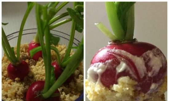 Radish with cheese cream