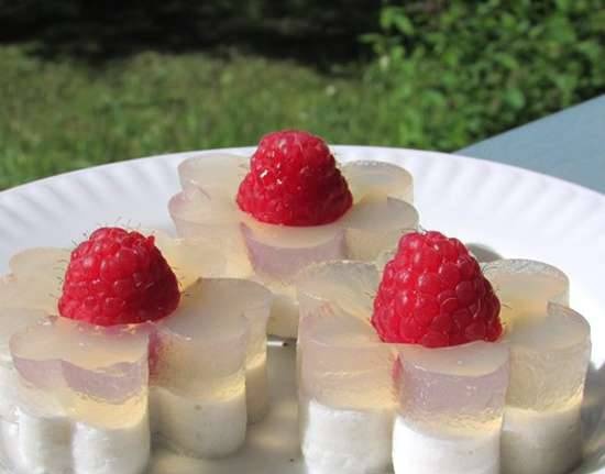 Jelly on agar-agar with raspberries and coconut milk