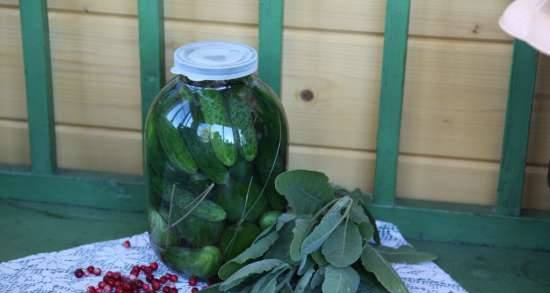 Pickled cucumbers in Shulginsky style