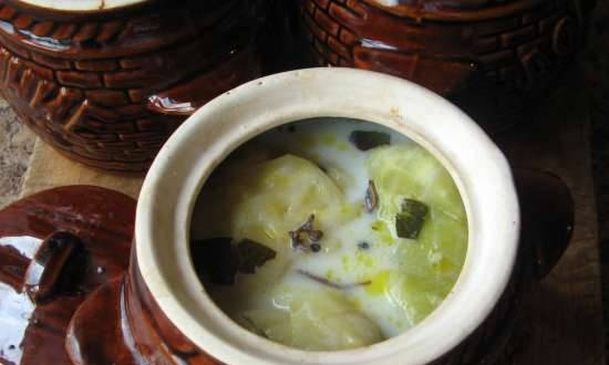Stuffed cabbage rolls stewed in milk (in a pot)