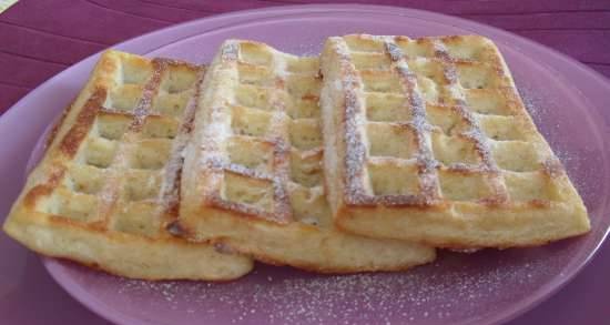 Thick curd-oatmeal waffles with apple