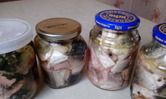 Canned fish in cans