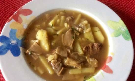 Mushroom soup with stew