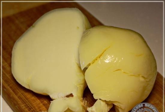 Cachocavallo cheese from Anglo-Nubian goat milk