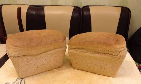 Sourdough wheat bread made from sprouted wheat grains from scratch (in the oven)