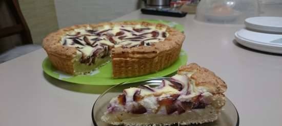 Variegated plum cake with curd dough