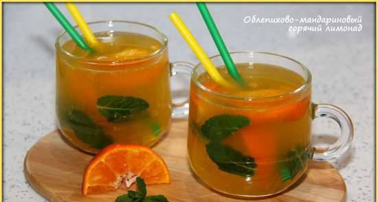 Hete limonade van duindoorn-mandarijn