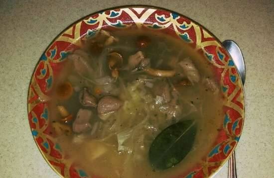 Forest mushroom soup with sauerkraut in a multicooker Redmond RMC-M 4502
