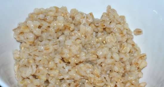 Barley porridge for garnish (Polaris 0305)