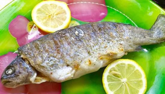 Parchment-wrapped rainbow trout (Steba FG56 grill)