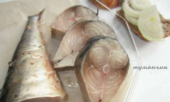 דג מלוח קל לעצלנים באריזה ואקום (אחסון לטווח ארוך)