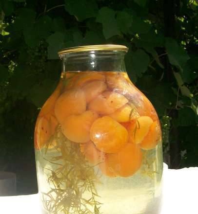 Compote Tarhun (apricots, apples, pears, gooseberries)