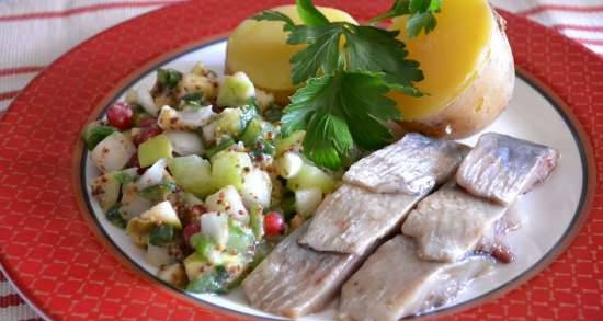 Herring garnish with frozen cucumber and green onions