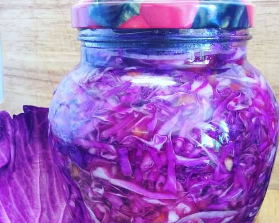 Red cabbage with caraway seeds