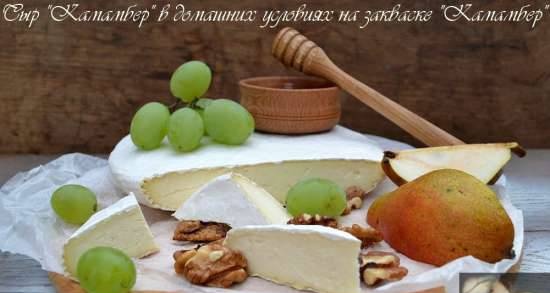 Camembert cheese with sourdough for gourmets