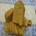 Bread with pumpkin flour in a bread maker (dedicated to fans of pumpkin seeds)