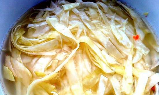 Boiled or salted cabbage