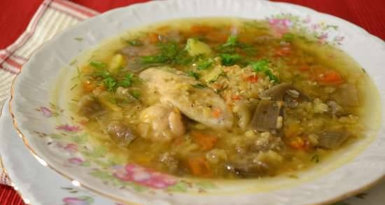 Lentil soup with turkey (Steba DD1 pressure cooker)