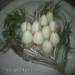 Stuffed quail eggs