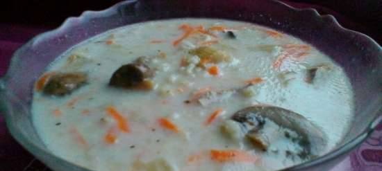 Slow-cooked barley soup with turkey, mushrooms and cream