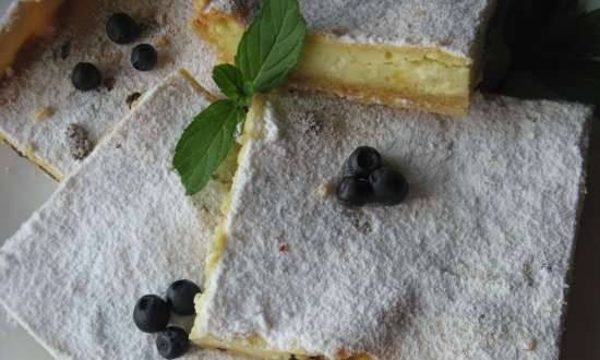 Curd pie with raisins and lemon notes