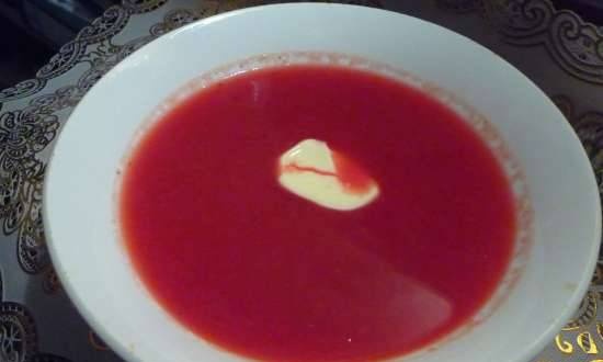 Borscht-puree in a blender-soup cooker Endever SkyLine BS-92