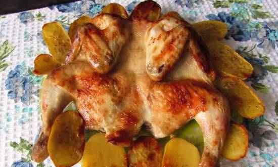 Baked chicken (marinated with cabbage brine)