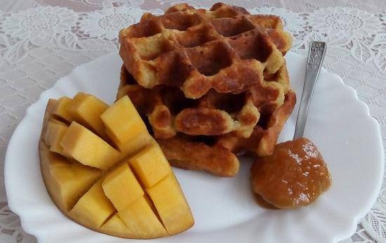 Thick curd waffles with mango (no flour)