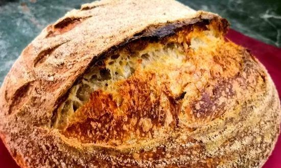 Rustic sourdough bread Levito Madre