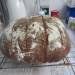 Whole grain rye sourdough bread