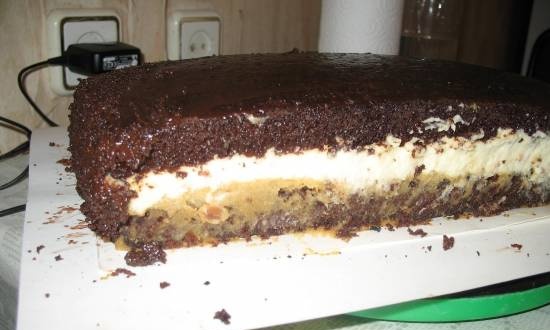 Cake "Taste" Mars "