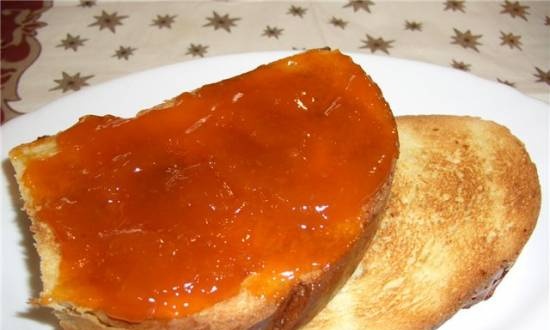 Jam apricot in bread maker Moulinex OW6002 Baguettes and Co