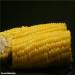 Mazorca de maíz al vapor (Cuco 1054)