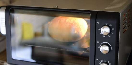 Mini forno macchina per il pane DeLonghi EOB 2071