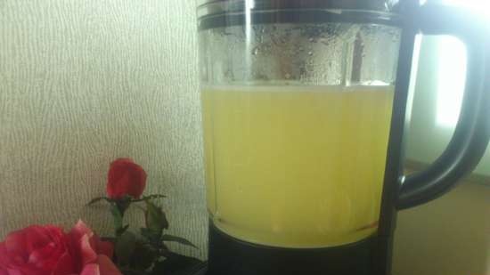 Appel-citroendrank in de Profi Cook multi-blender