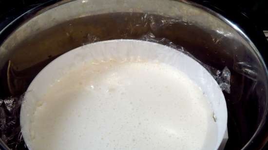 Cheesecake al vapore (multicooker Steba DD2)