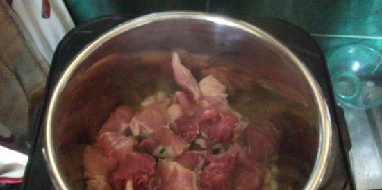 Meat a la Chakapuli (tlakový vařič s varnou deskou Steba DD1)