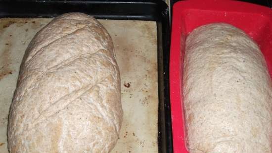 Pane di segale con due lieviti naturali